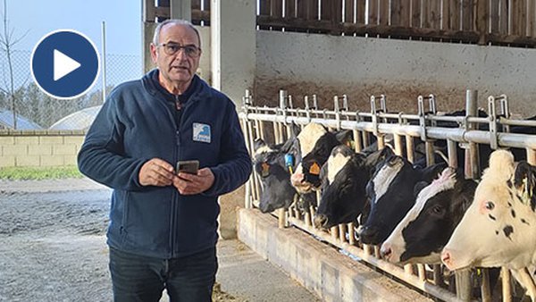 Monitorización das xovencas en Recría Castro con Allflex y MSD