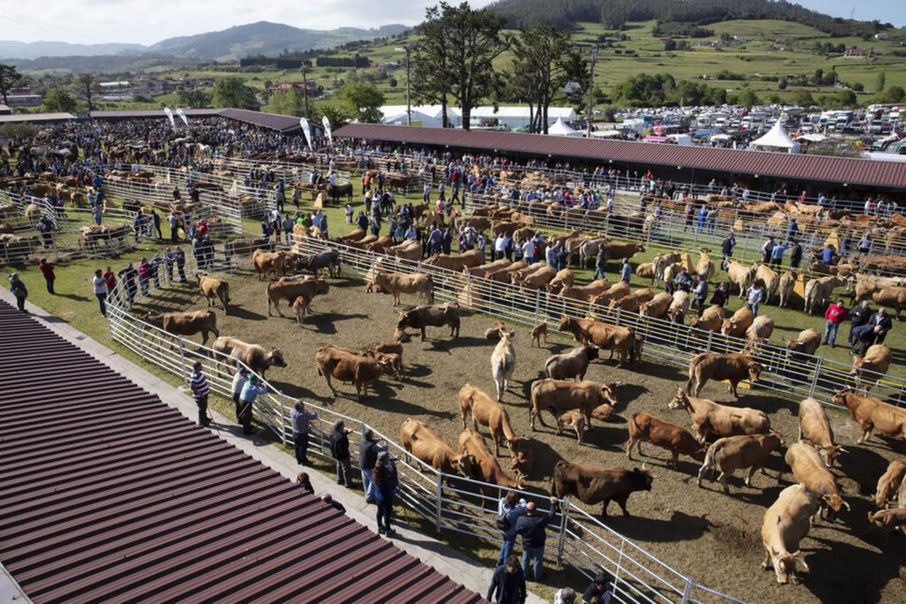 A Feira de San Isidro de Llanera celebrarase o 15 e 16 de maio só para profesionais