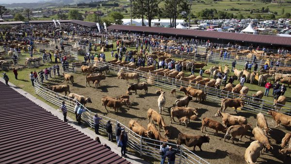 A Feira de San Isidro de Llanera celebrarase o 15 e 16 de maio só para profesionais