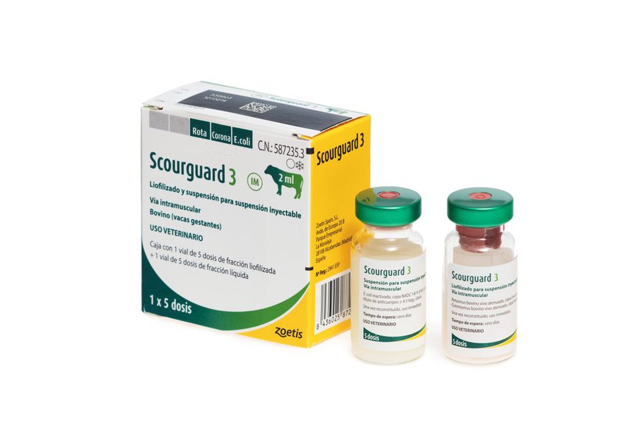 Nova Scourguard®-3 de Zoetis: fácil manexo e aforro de tempo