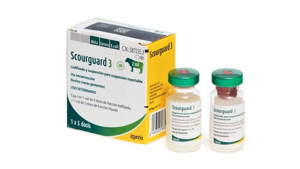 Nova Scourguard®-3 de Zoetis: fácil manexo e aforro de tempo