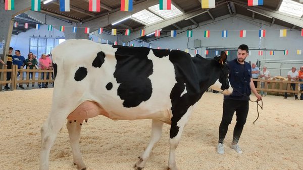 O volume de negocio superou en Sarria os 34.000 euros