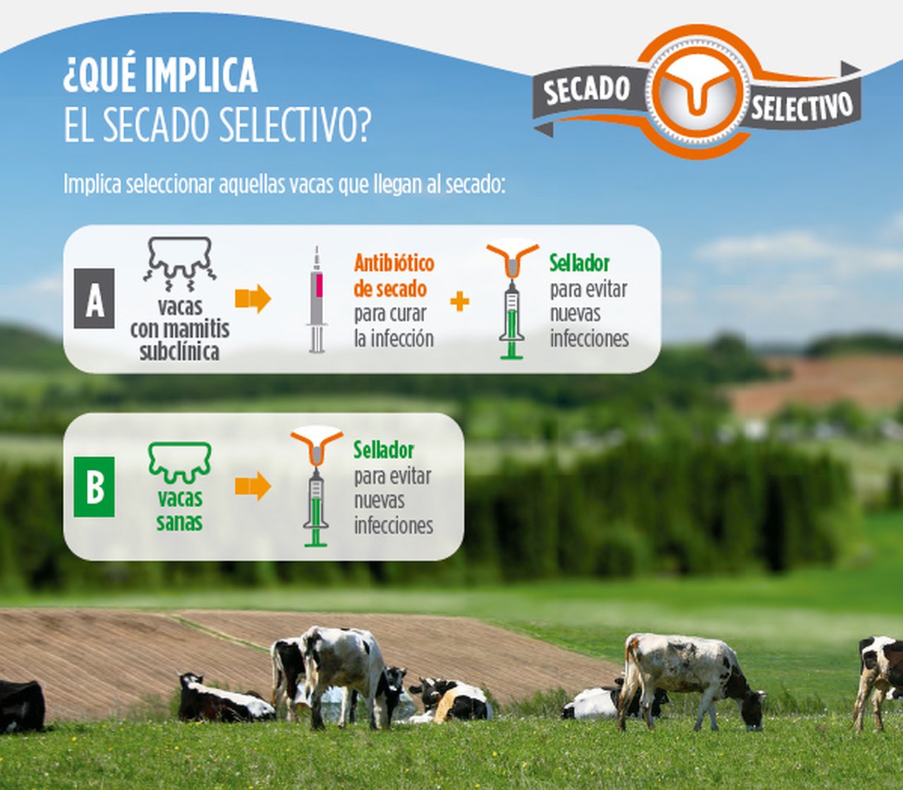Experiencia de campo proba a redución á metade do uso de antibióticos sen aumento das mamites clínicas