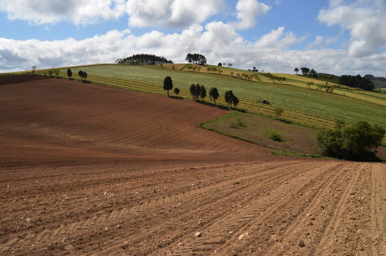 Medio Rural amplía hasta el 7 de mayo el plazo para solicitar las ayudas de la PAC