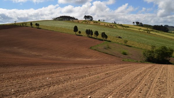 Medio Rural amplía hasta el 7 de mayo el plazo para solicitar las ayudas de la PAC