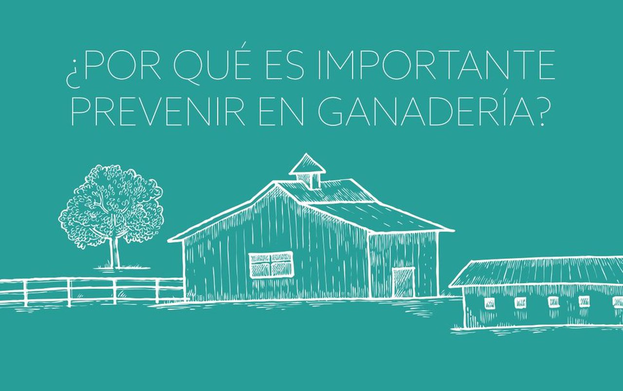 MSD Animal Health se une a la Semana Mundial de la Inmunización en Ganadería