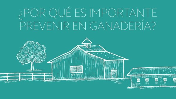 MSD Animal Health únese á Semana Mundial da Inmunización en Gandería