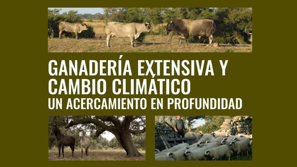 Publicado estudo sobre o papel do pastoreo na loita contra o cambio climático