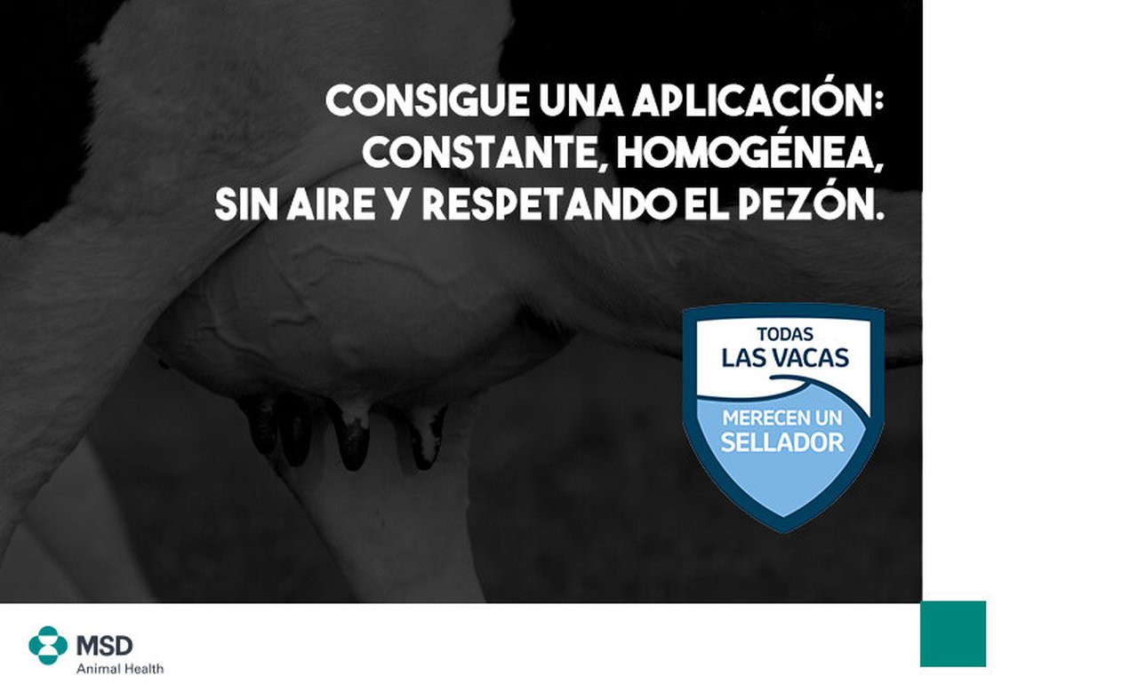 MSD Animal Health lanza un selador de tetos para previr infeccións intramamarias no secado