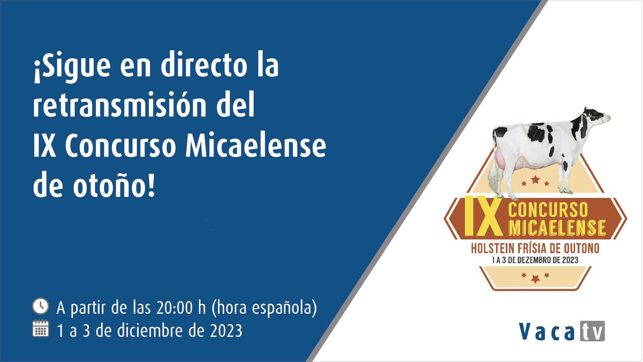 Esta fin de semana, nova edición do concurso frisón de outono en Azores