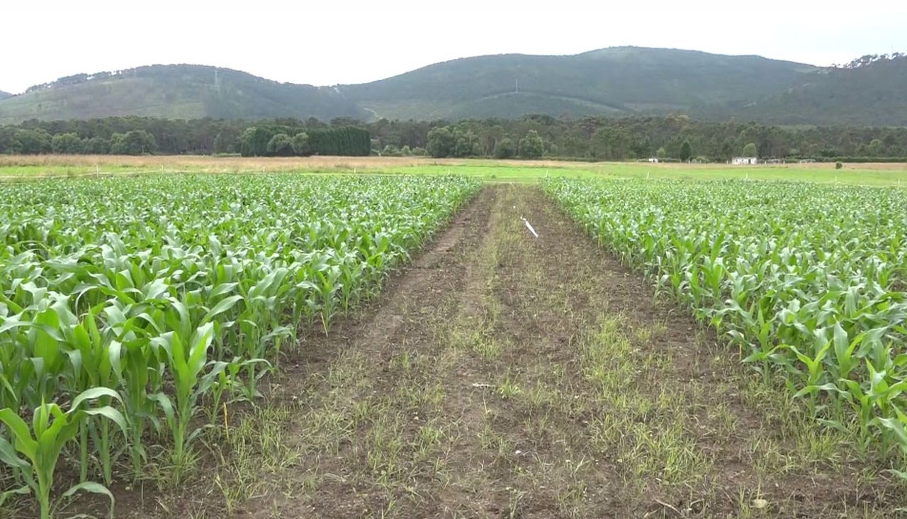 Lely sumistrará ás novas instalacións de SAT A Campa