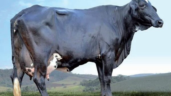 Unha viaxe fascinante por Latinoamérica