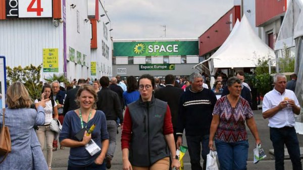 La celebración de la Space, en el aire a la espera de que la situación mejore