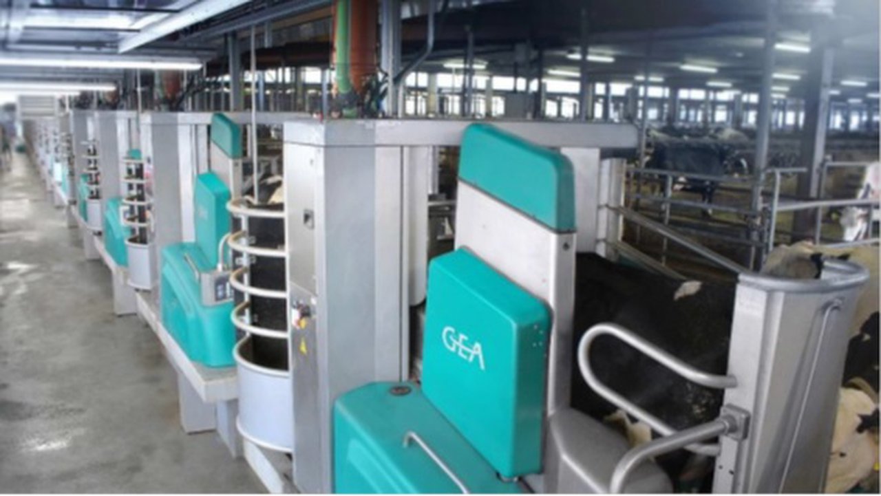 GEA pon en funcionamento unha instalación de muxido robotizado para 800 vacas con 16 robots R9500