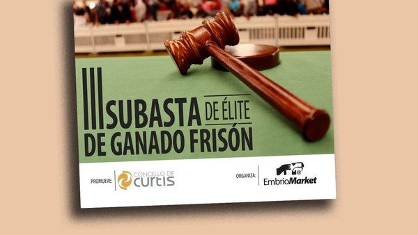 Cuenta atrás para la III Subasta de Élite de Ganado Frisón