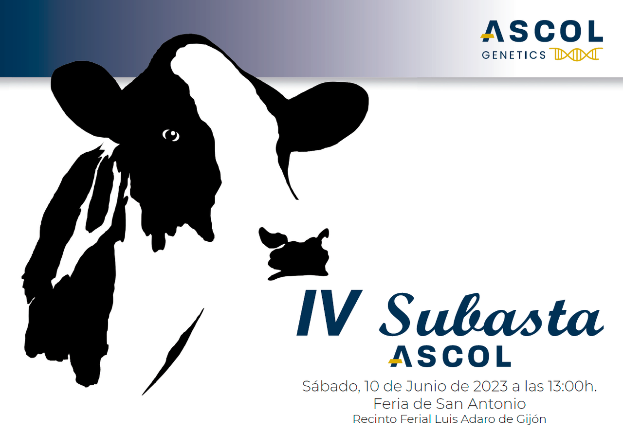 Este sábado terá lugar a IV Poxa Ascol en Xixón