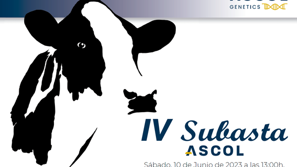 Este sábado terá lugar a IV Poxa Ascol en Xixón