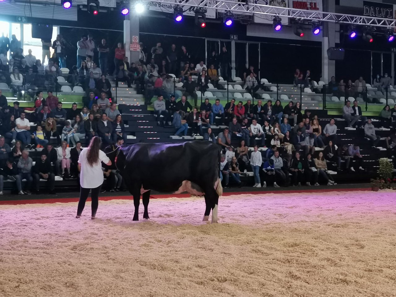 A poxa de Feiradeza alcanzou un volume de negocios de 49.500 euros