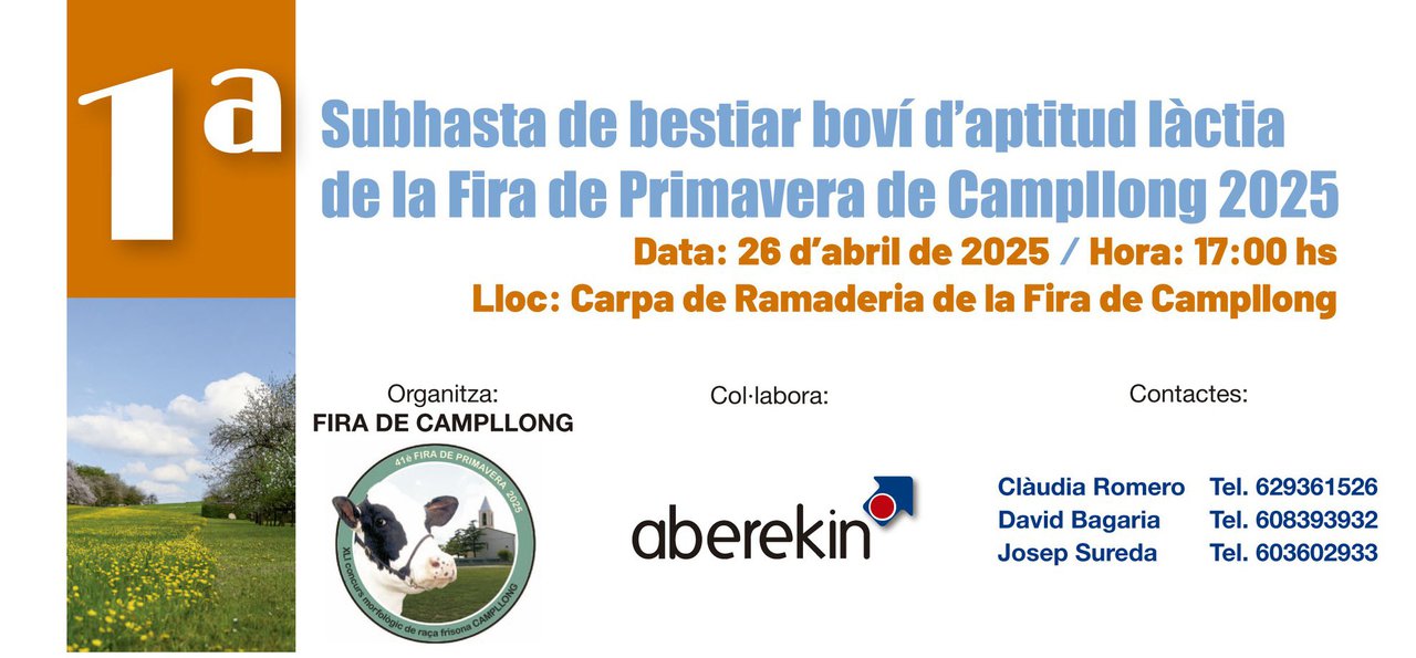 Mañana se celebra la primera subasta de Campllong