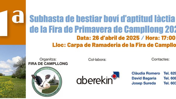 Mañana se celebra la primera subasta de Campllong