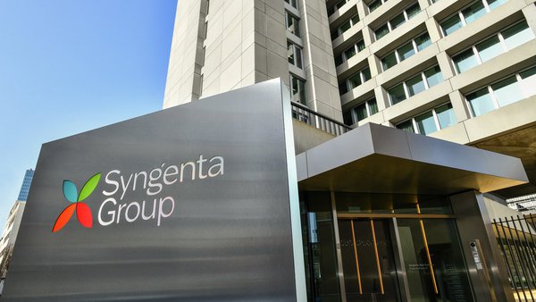 Syngenta y Koipesol Semillas se consolidan como una única fuerza