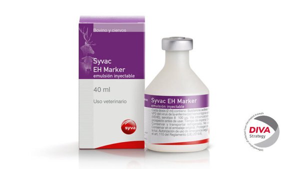 Syvac® EH Marker, la primera y única vacuna DIVA contra la EHE, ya está autorizada en Bélgica