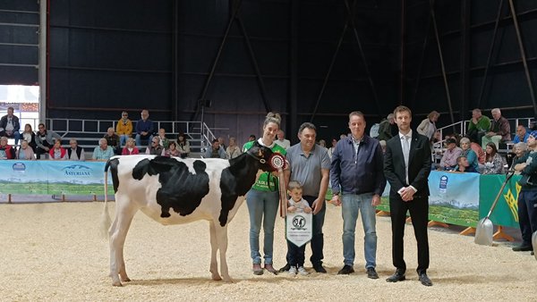 Flora Harris Sharon es la nueva ternera campeona del Concurso Regional de Asturias 2024