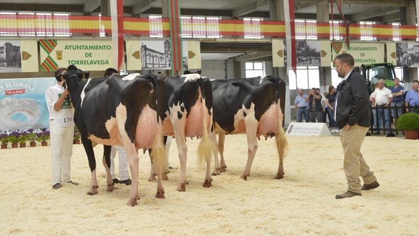 Comezamos a retransmisión do Rexional de Cantabria