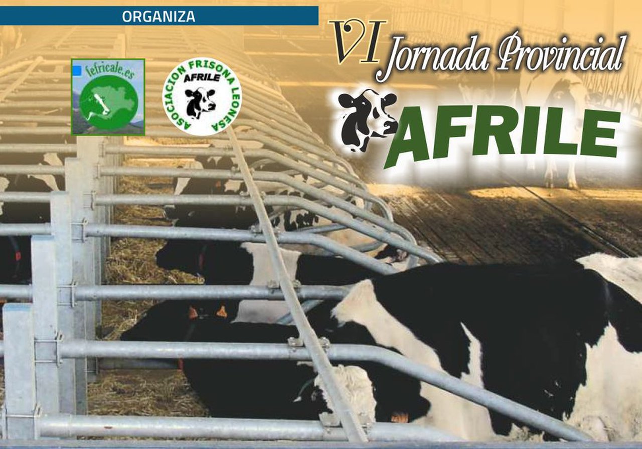 Todo preparado para a VI Xornada Provincial Afrile