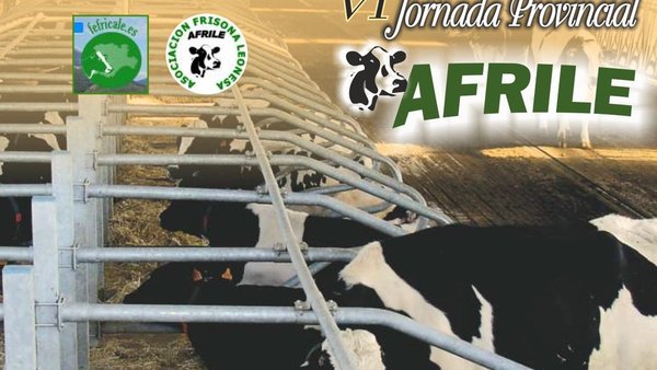 Todo preparado para a VI Xornada Provincial Afrile