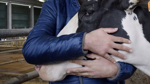 A túa saúde e a da túa familia, agora mellor protexida con Ucoga