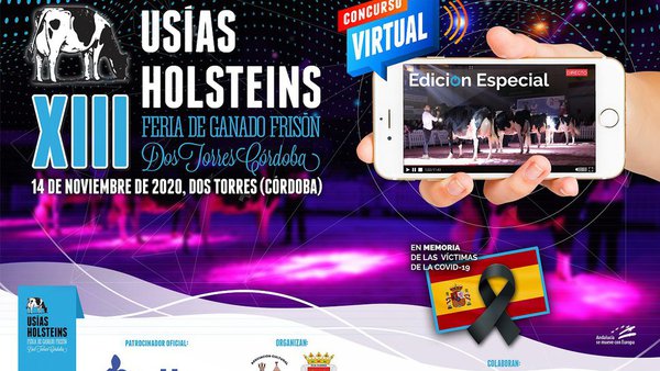 A feira de gando frisón Usías Holsteins continúa adiante en versión dixital