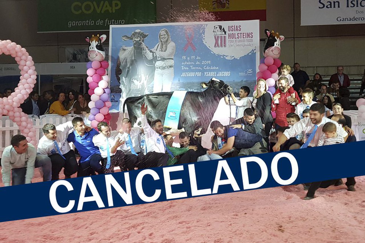 Foto de familia Usías Holsteins XII (2019)