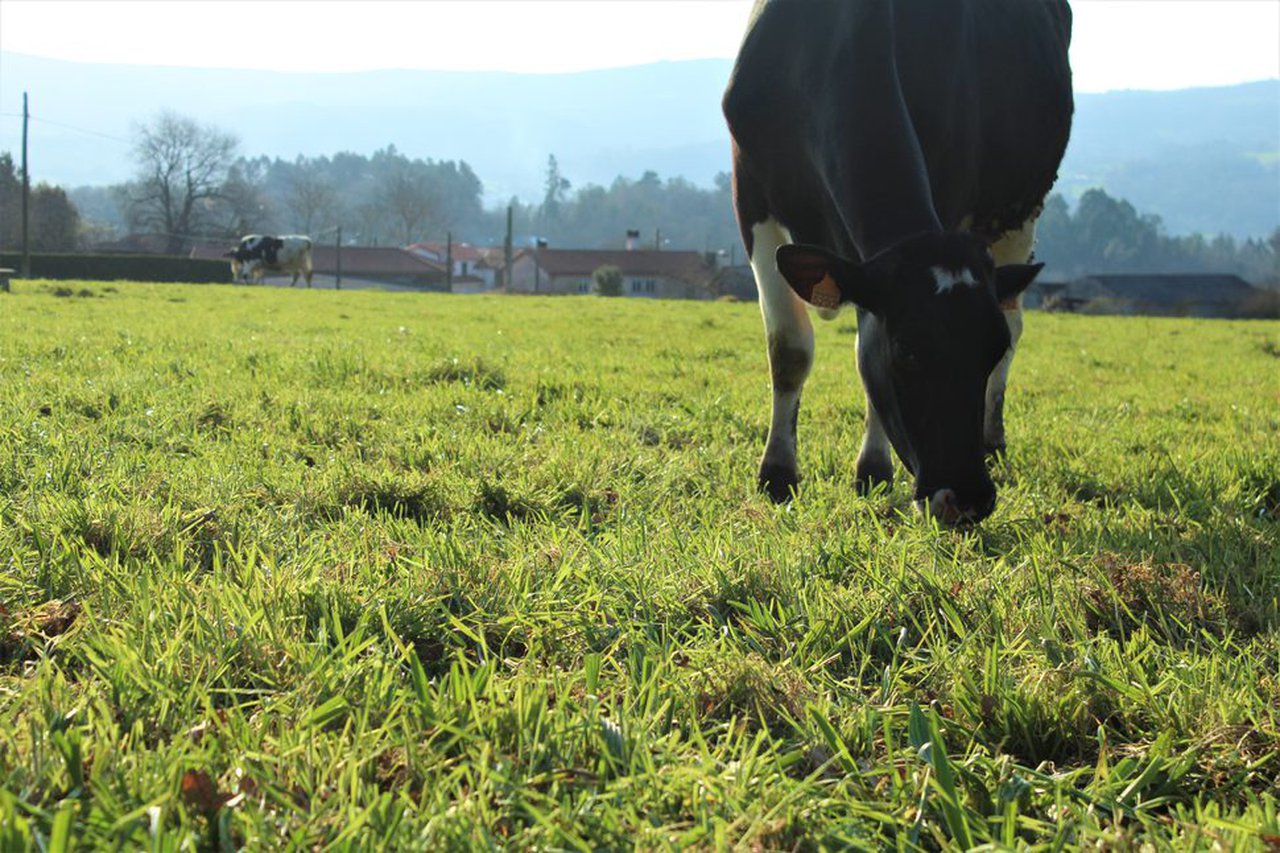 Abanca Agro celebra un encontro dixital para clientes do sector agro sobre a próxima reforma da PAC