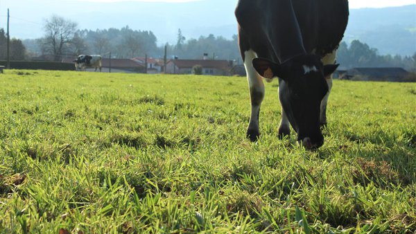 Abanca Agro celebra un encontro dixital para clientes do sector agro sobre a próxima reforma da PAC