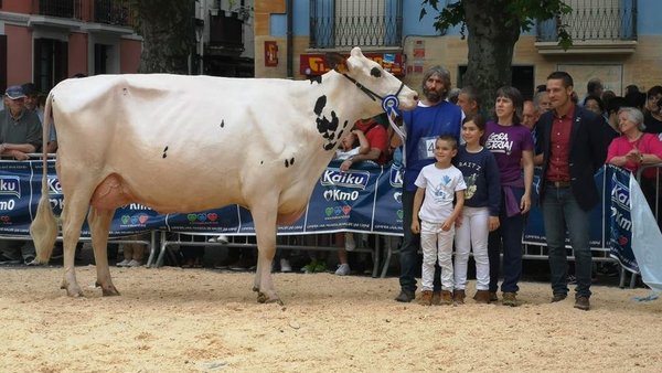 Ondazarte Meridian Afrodita, gran campeona del concurso de Irún
