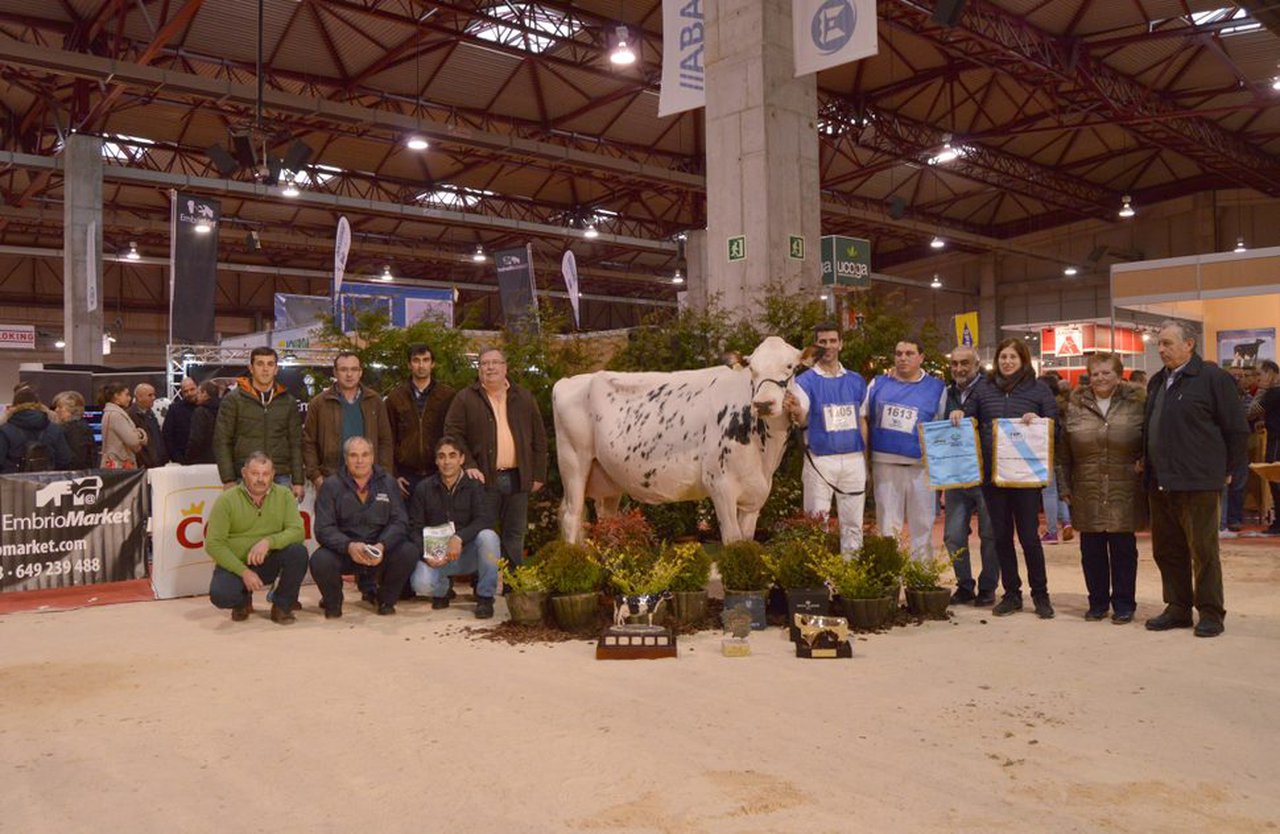 Non haberá concurso frisón durante a Semana Verde de Galicia 2018