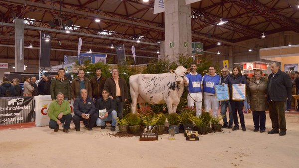 Non haberá concurso frisón durante a Semana Verde de Galicia 2018