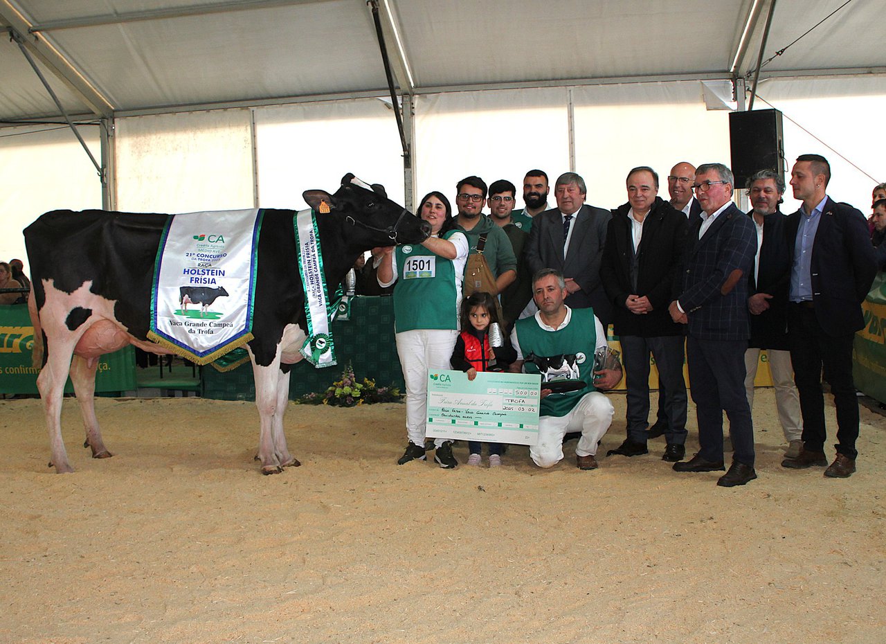 QL Alum 1311, vaca gran campeona de Trofa