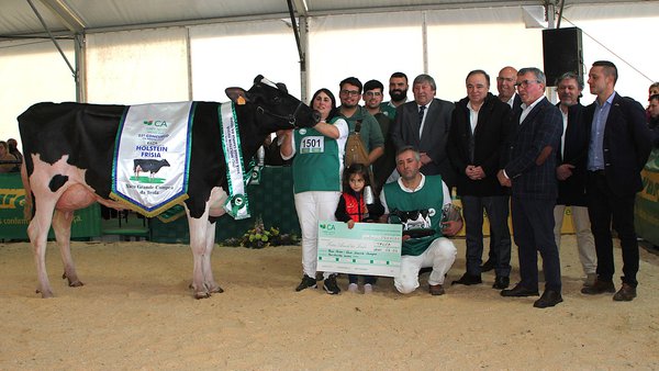 QL Alum 1311, vaca gran campeona de Trofa