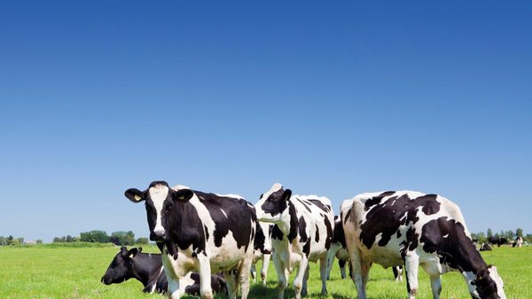 Agroseguro firma un nuevo convenio de colaboración con la Xunta de Galicia