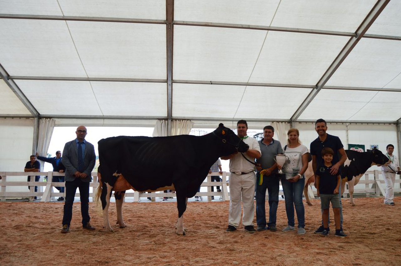 Este domingo, nova edición do Concurso de Gando de Tineo