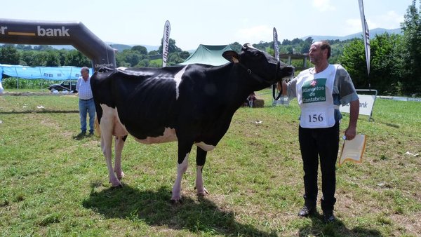 Tezanillos Stanleycup Mirona gaña o Concurso Valle de Carriedo 2018