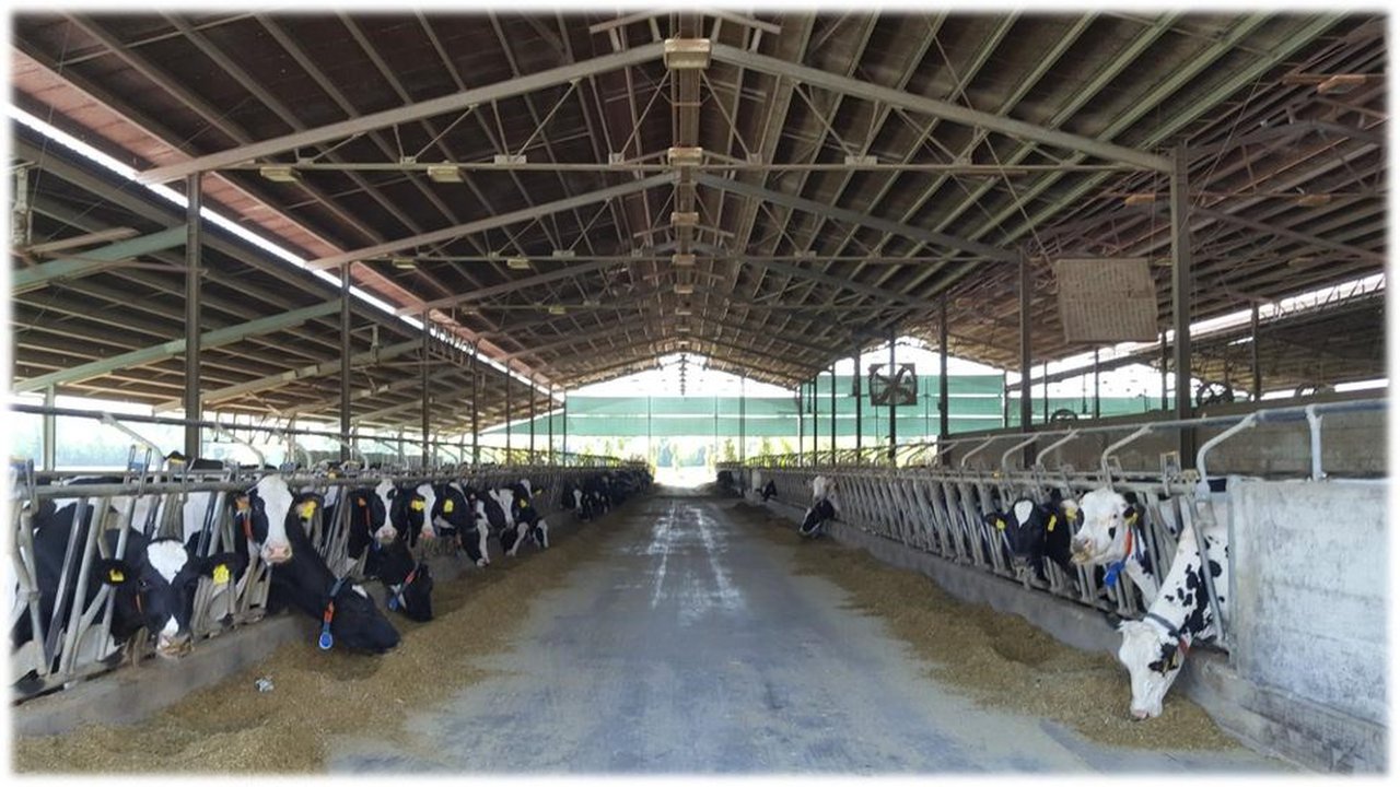 Índices reprodutivos máis usados en explotacións de vacas de leite, utilidade e limitacións