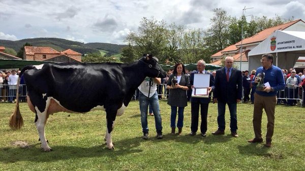 Llinde Ariel Jordan gaña o certame de San Isidro en Galizano