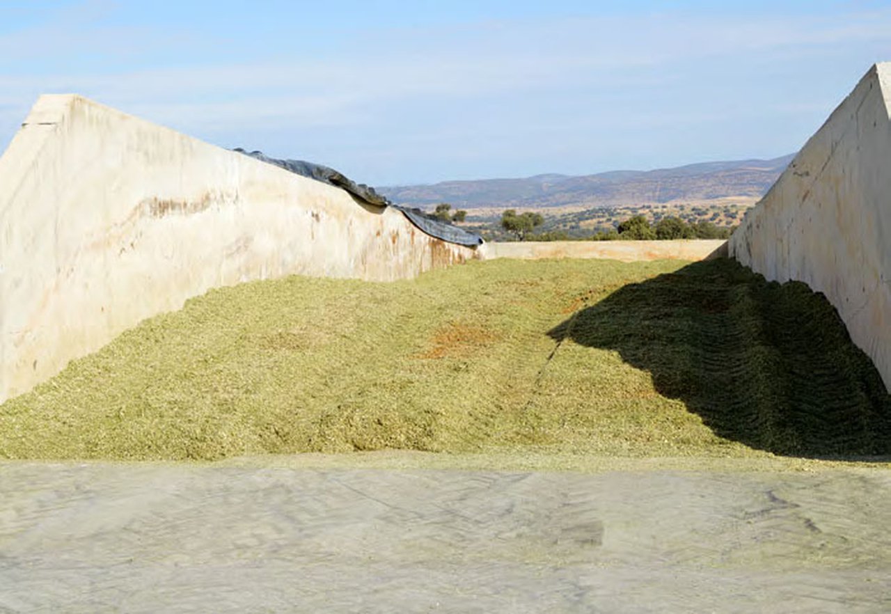 Novas tecnoloxías aplicadas á produción de silos: o caso particular do silo Shredlage®