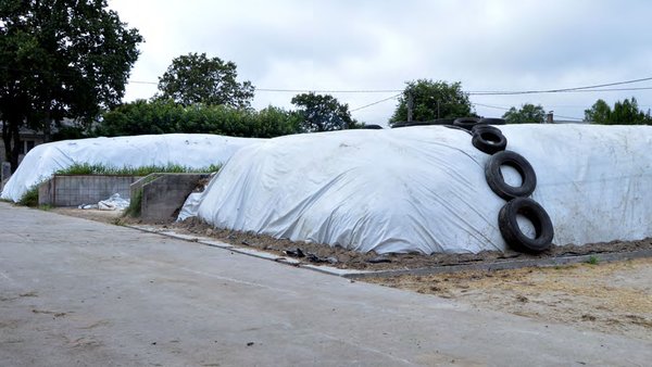 Cubicar silos é comezar a facer xestión económica