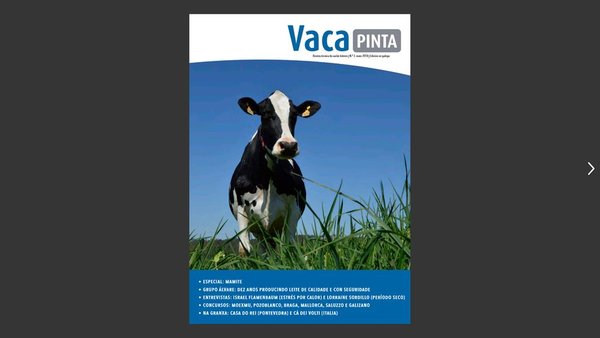 Xa na rúa Vaca Pinta 3!