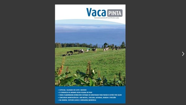 Presentamos o cuarto número da revista Vaca Pinta