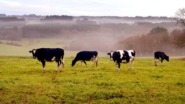 Publicadas nuevas ayudas para la promoción de grupos y organizaciones de productores